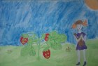 РОМАН ДАНИИЛ, 11 лет, г.Ростов на Дону