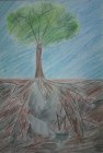 РЫБАКОВА СОФЬЯ, 12 лет, г.Ростов на Дону